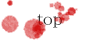 bloody-top.gif